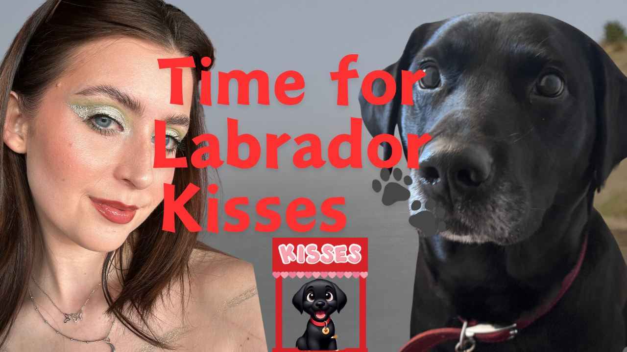 Labrador Kisses